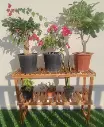 Affordable Single Layer Wooden Plant Stand - Stylish & Durable(Pack of 2)