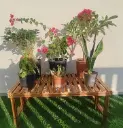 Affordable Single Layer Wooden Plant Stand - Stylish & Durable(Pack of 2)