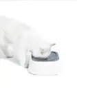 Pet Water Bowl with Volume Control and Gate5.webp