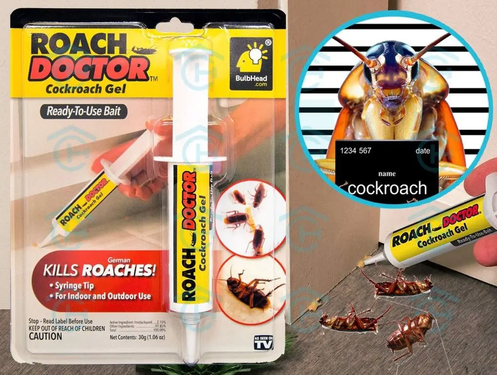 pest control products qatar.webp