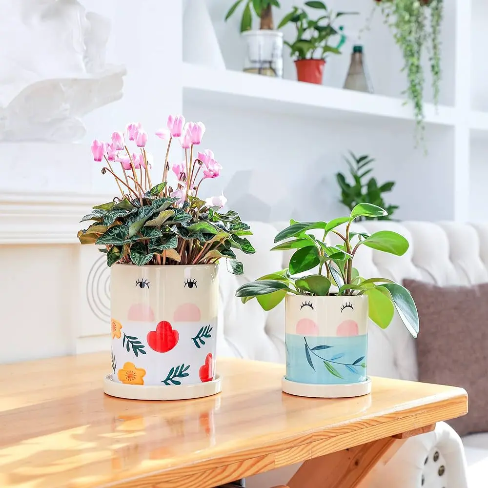 Ceramic Flower Plants Pots Planter with Face Expressions - 3.8 Inch + 5.1 Inch Marble Container Drainage with Saucer Indoor Herb Garden Planting - Set of 2