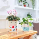 Ceramic Flower Plants Pots Planter with Face Expressions - 3.8 Inch + 5.1 Inch Marble Container Drainage with Saucer Indoor Herb Garden Planting - Set of 2