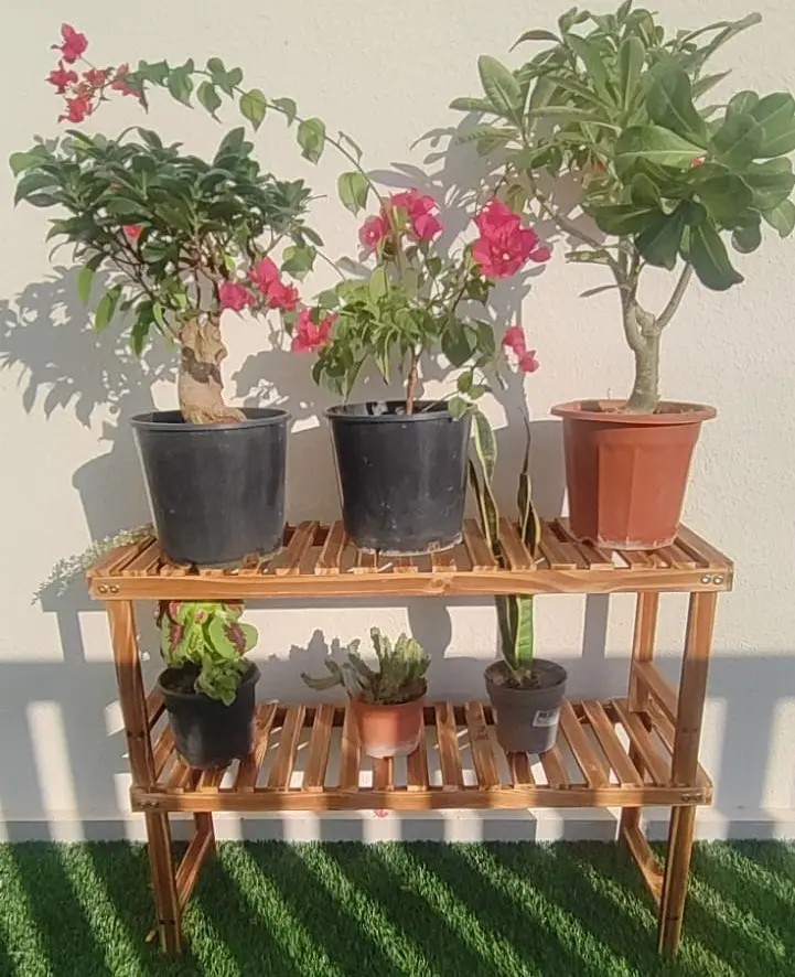 Affordable Single Layer Wooden Plant Stand - Stylish & Durable(Pack of 2)