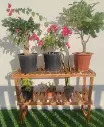 Affordable Single Layer Wooden Plant Stand - Stylish & Durable(Pack of 2)